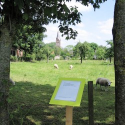 Expositie Pinkstermarkt Altforst 2009